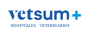 logo-vetsum-cliente-disruptivos