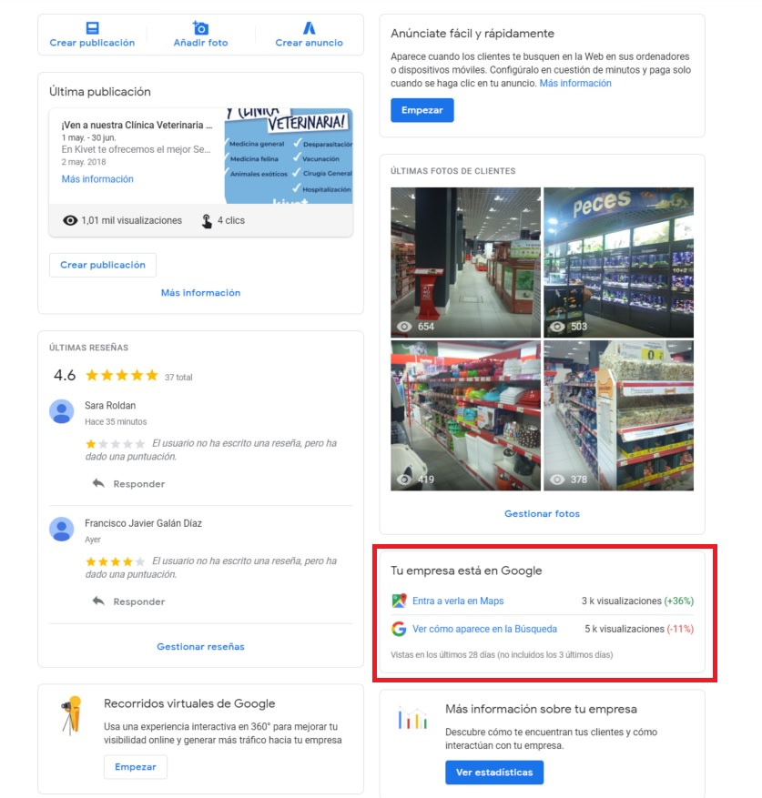 estadisticas-google-mybusiness-busqueda