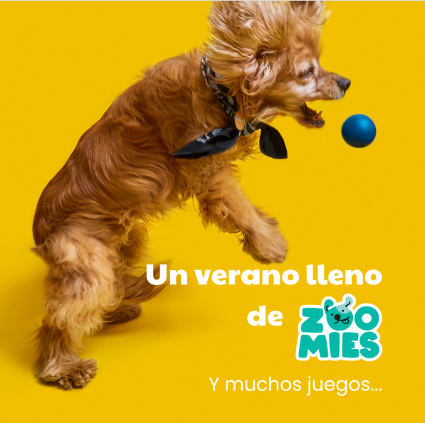 Un verano lleno de zommies y muchos juegos